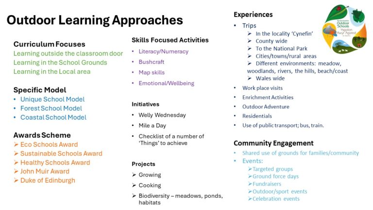 Dynamic Approach Outside Outdoor Learning | Pembrokeshire Outdoor Schools